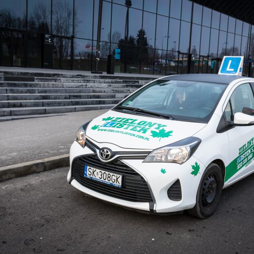OSK Zielony listek Katowice prawo jazdy (11)