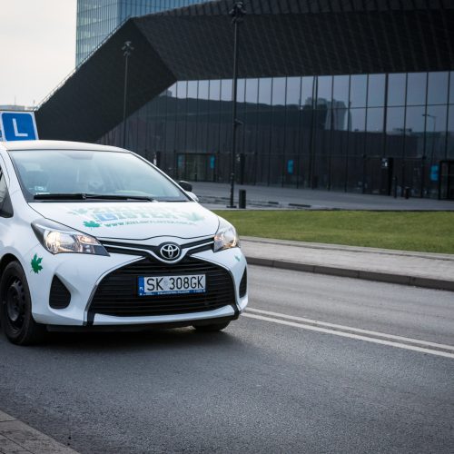 OSK Zielony listek Katowice prawo jazdy (8)